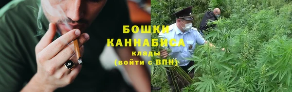 ПСИЛОЦИБИНОВЫЕ ГРИБЫ Балабаново