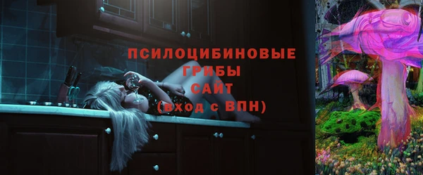 ПСИЛОЦИБИНОВЫЕ ГРИБЫ Балабаново