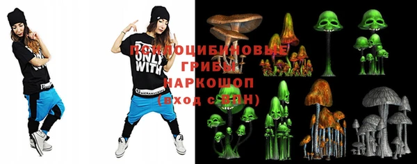 ПСИЛОЦИБИНОВЫЕ ГРИБЫ Балабаново