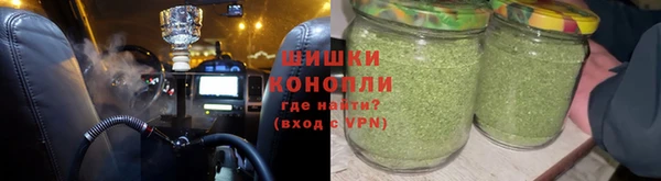 сатива Сосновка