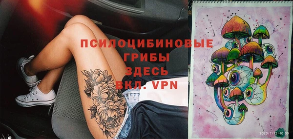 молекула духа Балахна