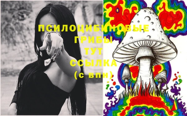 молекула духа Балахна