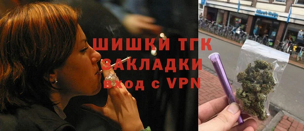 молекула духа Балахна